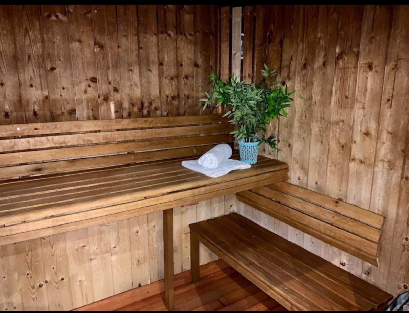 Appartements Avec Piscine Interieure Sauna Parking Etage 1 Au Centre Du Village Dans Residence Cami Real Saint-Lary-Soulan Eksteriør billede